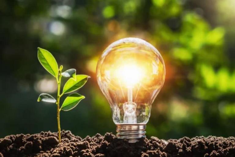 A lightbulb planted in soil next to a small green shoot coming out of the ground