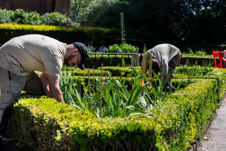 HOLLAND-PARK-JUNE-2020_039.jpg HOLLAND-PARK-JUNE-2020_039.jpg