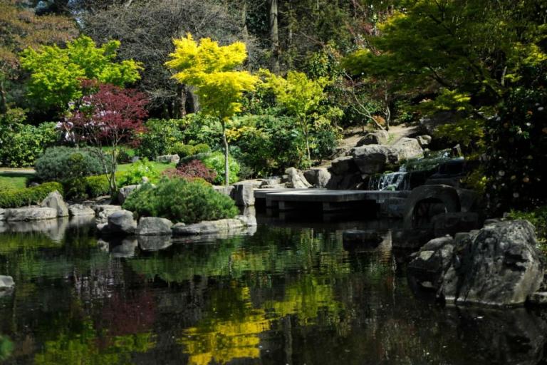 The pond in Kyoto Gardens, Holland Park