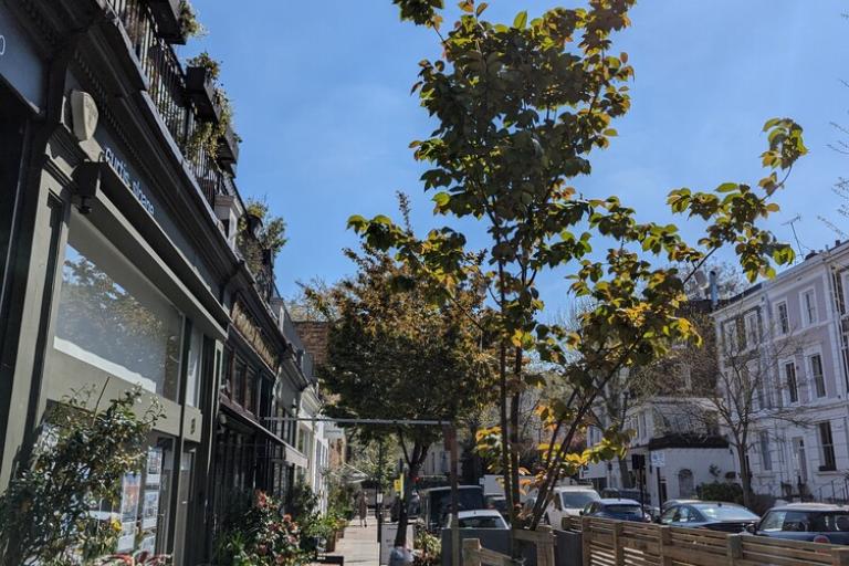 Showing a Kensington Street with blue sky, young trees and planters at the edge of the pavement and an outdoor dining terrace