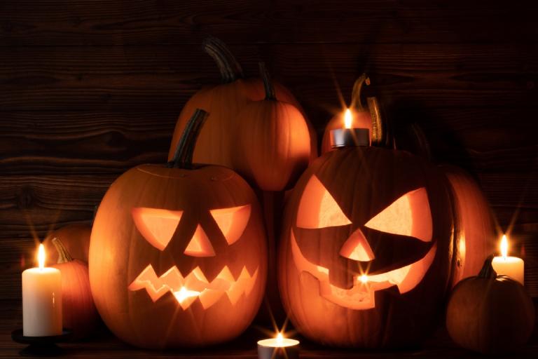 Pumpkins for website.jpg Pumpkins for website.jpg