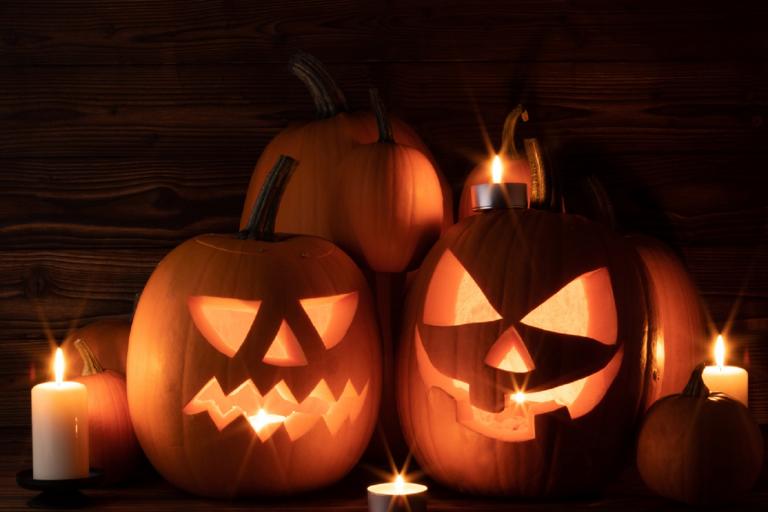 Pumpkins for website.jpg