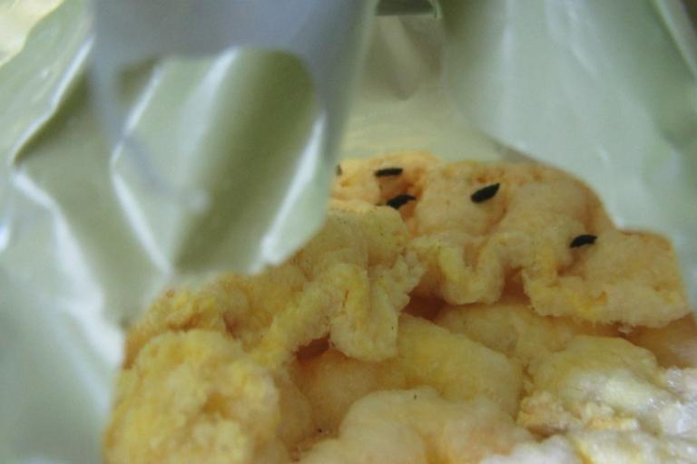 rice cakes