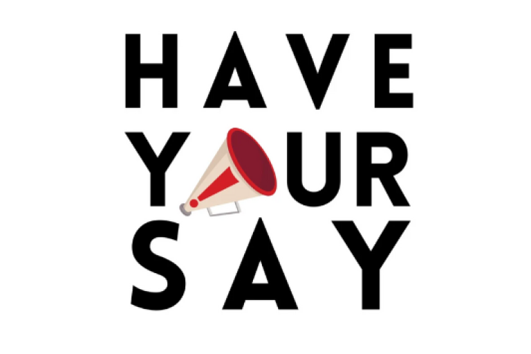 Black large lettering reading have your say 