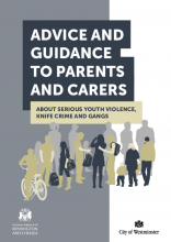 Youth violence - advice and guidance for parents and carers