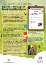 Animal Simulations - Nature at Home HP