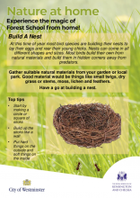 Build a nest- Nature at Home. HP