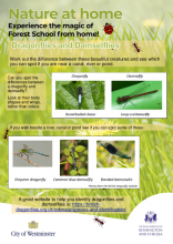 Dragonflies and Damselflies - Nature at Home HP