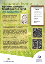 dreamcatcher - Nature at Home HP
