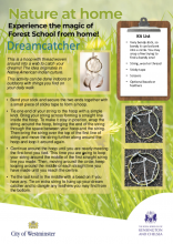 Dreamcatcher - Nature at Home HP