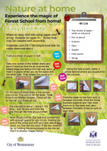 Early Bird Kite - Nature at Home HP