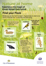 Find Your Flock - Nature at Home HP