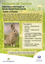 Habits of Rabbits