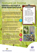 Mindful Photography - Nature at Home HP
