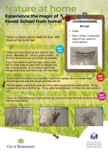 Natural Pick Up Sticks - Nature at Home HP