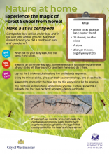 Stick centipede- Nature at Home. HP