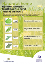 Tree Find and Rhymes - Nature at Home HP
