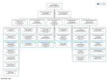 The Council's Management Structure