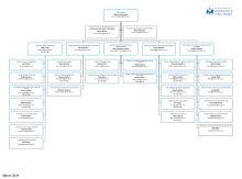 The Council's management structure