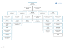The Council's management structure