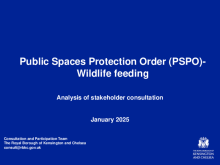 Consultation Report - January 2025