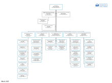 Council Management Structure March 2025