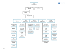 Council Management Structure  June 2025