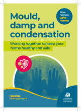 Mould, damp and condensation