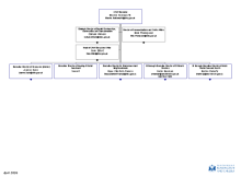 Council Management Structure April 2026