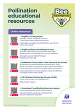 Pollination educational resources