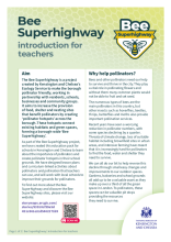 Bee Superhighway introduction for teachers