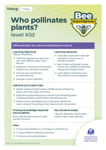 Who pollinates plants? lesson plan (KS2)