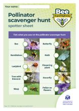 What is a pollinator? activity sheet (EYFS-KS1)