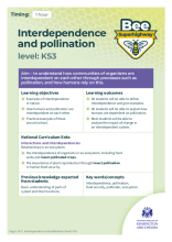 Interdependence and pollination lesson plan (KS3)