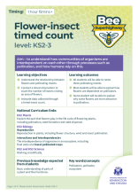Flower-Insect timed count lesson plan (KS2-3)