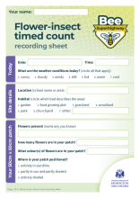 Flower-Insect timed count activity sheet (KS2-3)