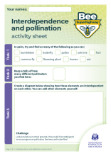 Interdependence and pollination activity sheet (KS3)