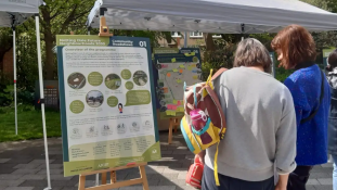 Two people looking at an information board about Notting Dale Future Neighbourhoods 2030 at an outdoor community consultation