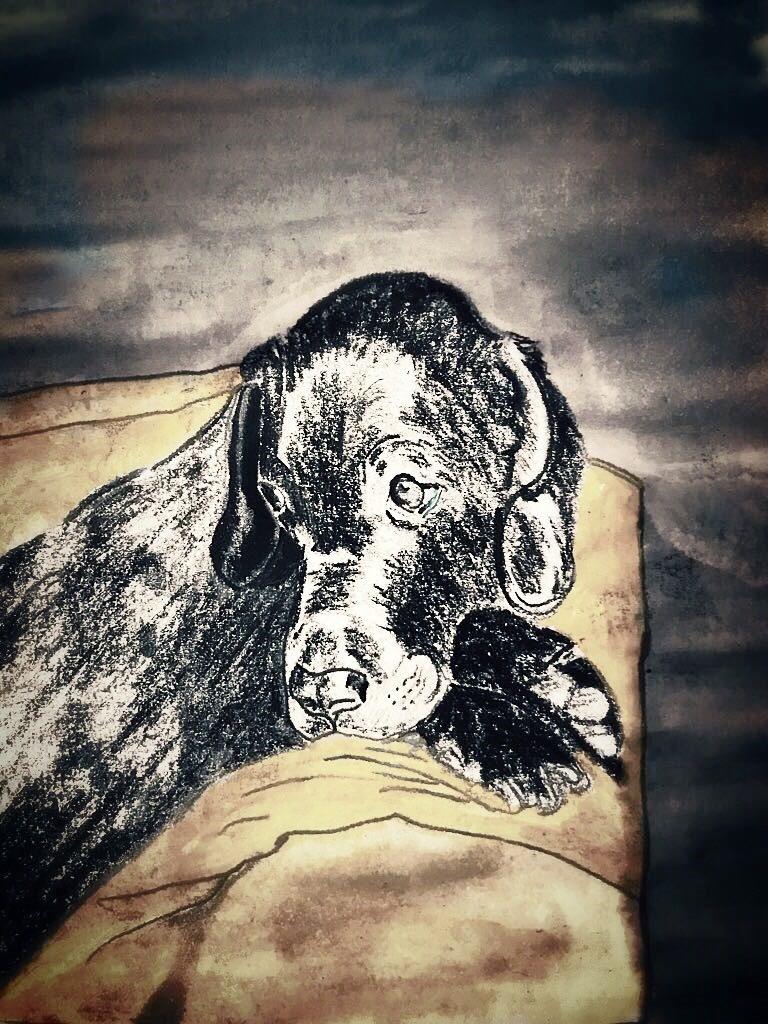 Mixed Media - Sam Mixed Media - Sam Dog