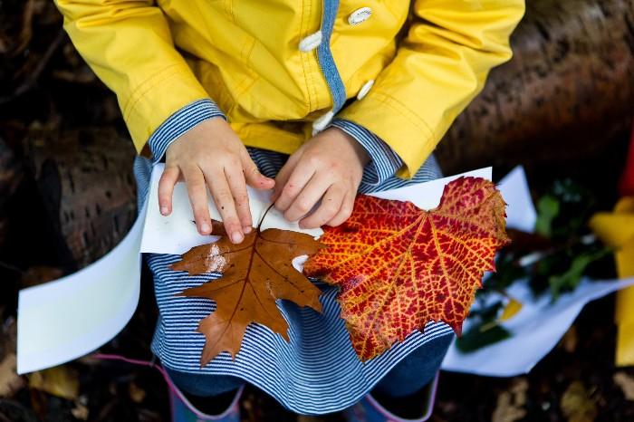 Child holding large leaf