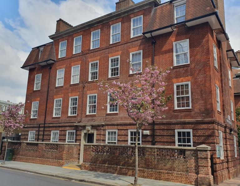 photo of hortensia house with pink tree outside