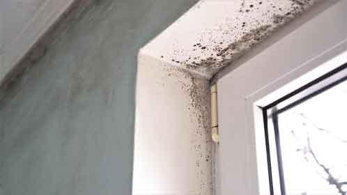 Spots of black mould forming around the inside of the window frame