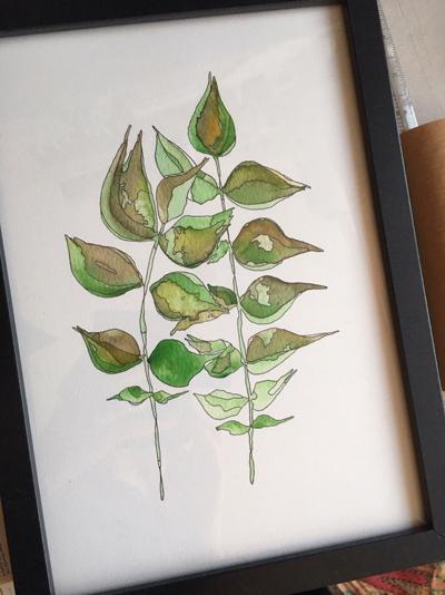 Plant Plant