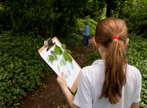 Child holding clip board