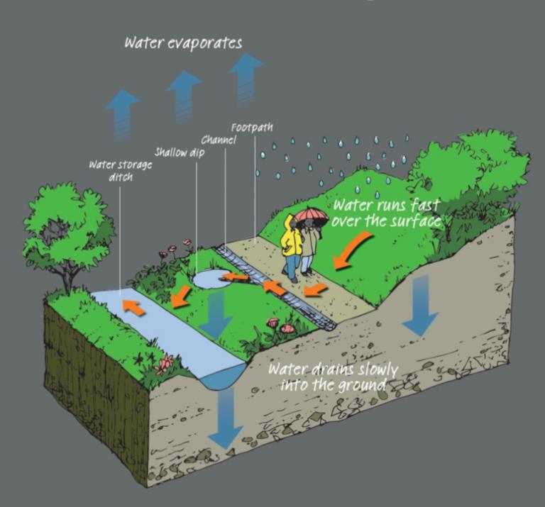 Sustainable urban drainage system