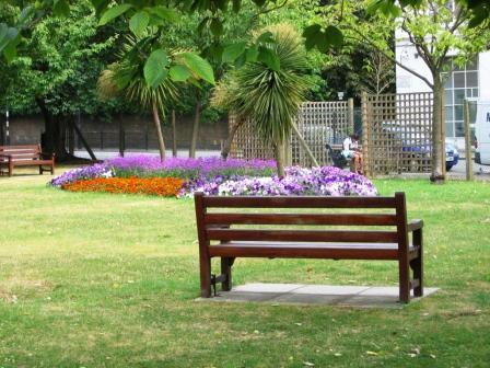 Wooden public bench overlooking the floral gardens