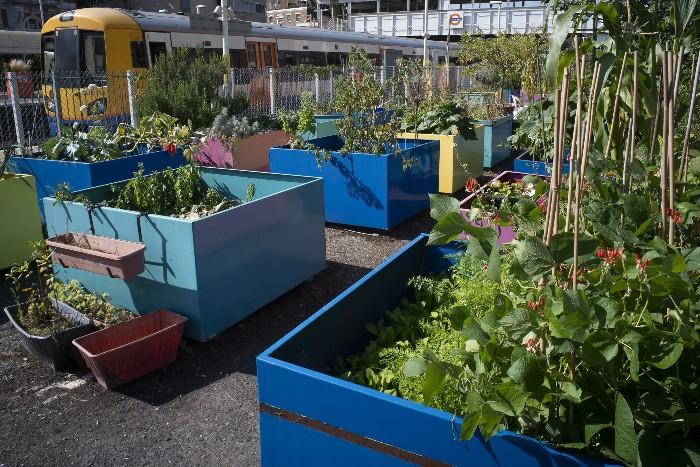 Communal garden on train platform