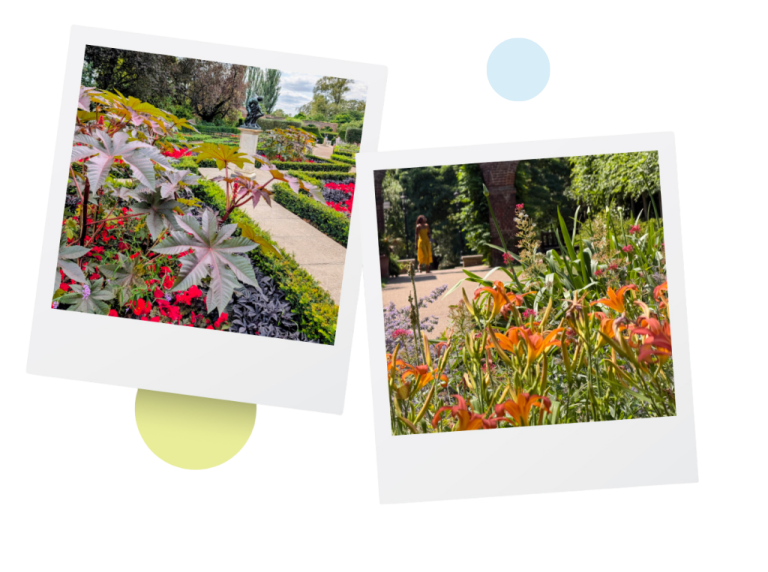 Close up of parks in RBKC inside a polaroid frame