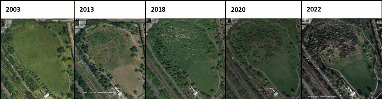 Satellite images of Little Wormdwood park