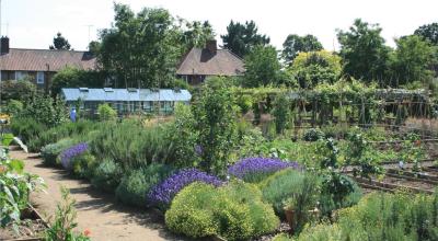 A large community garden with raised vegetable beds and a greenhouse.